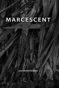 Marcescent