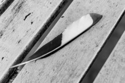 Plume de pie - noir et blanc