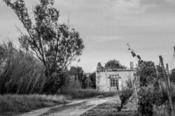 Ruine de mas