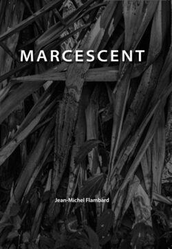 Couverture du livre - Noir et blanc