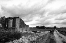 Ruine mas avec vignes derrière - Noir et blanc