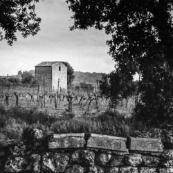 Noir et blanc