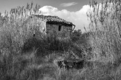 Mas entre des roseaux - noir et blanc
